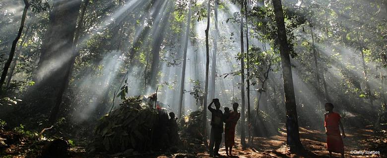 Biodiversité, la COP15 doit reconnaître les populations autochtones comme garantes de la conservation