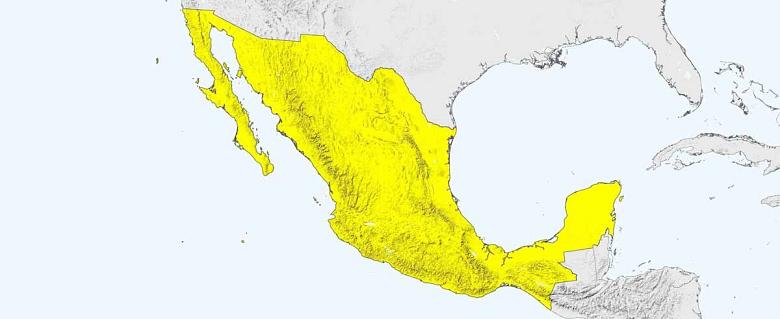 carte Mexique rapport annuel amnesty