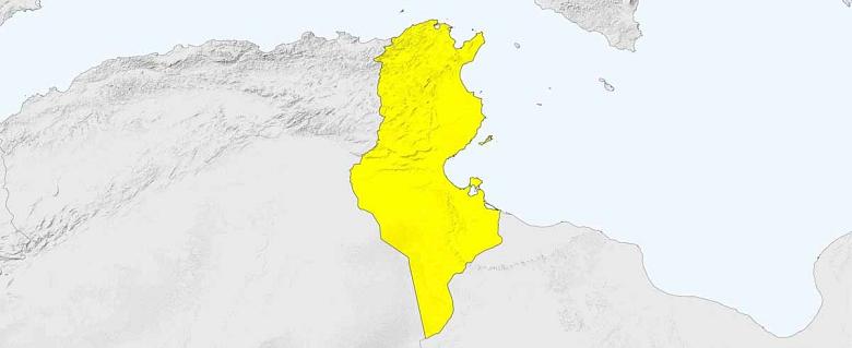 Tunisie - Rapport annuel 2022