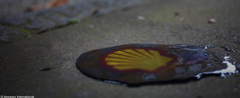 Shell pollution