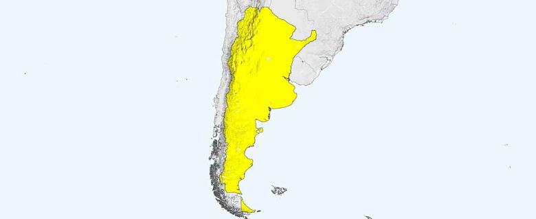 carte Argentine rapport annuel amnesty