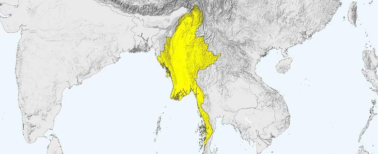 carte Myanmar rapport annuel amnesty