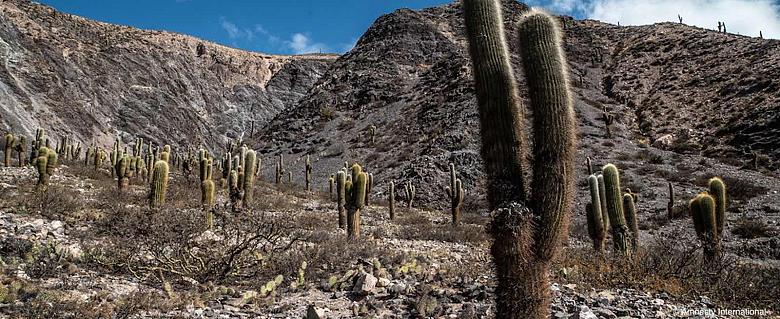 paysage de la province de jujuy