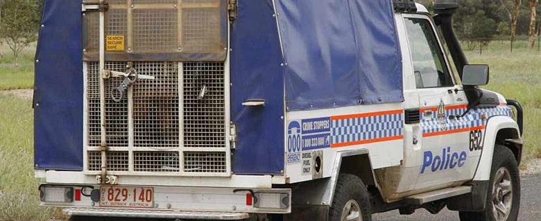 Australie_cages