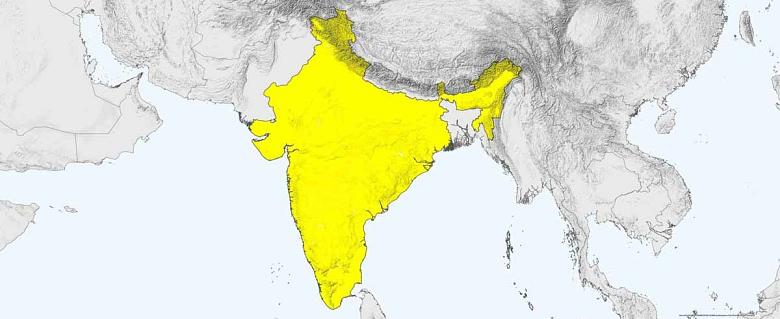carte Inde rapport annuel amnesty