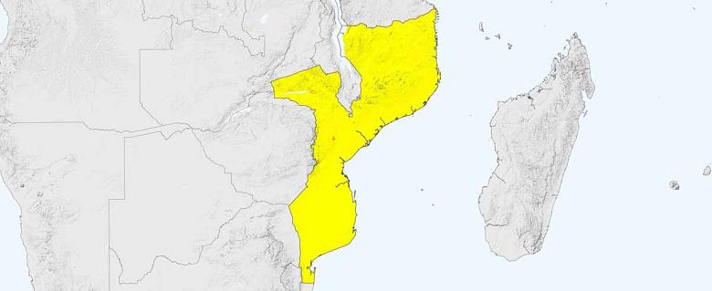 Mozambique - Rapport annuel 2022 