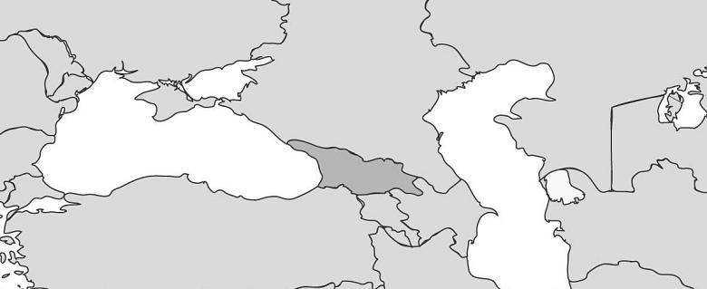 carte Géorgie rapport annuel amnesty