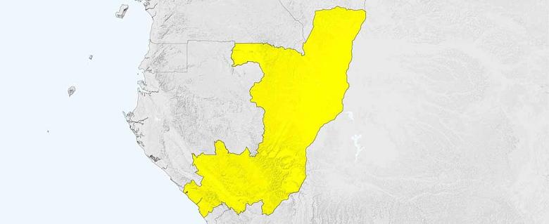 carte Congo rapport annuel amnesty