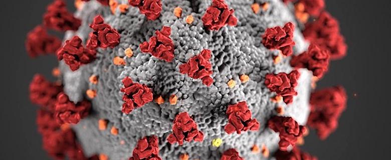 Canada_coronavirus